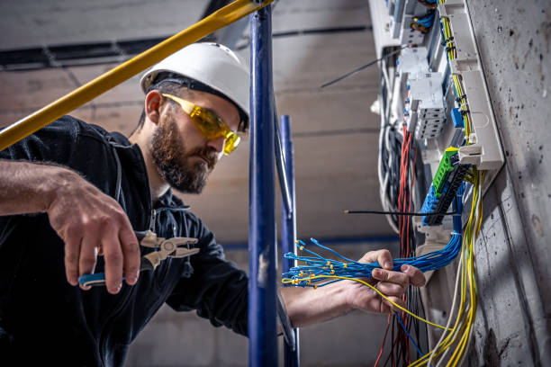 Best Electric Panel Repair  in Bloomfield, MO